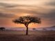 Colonialism and climate risk are connected: evidence from Ghana and Senegal