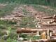 Ecological Disruptions are a Risk to National Security