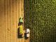 Reconfiguring the global food system
