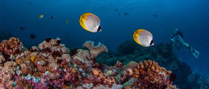 Seabed